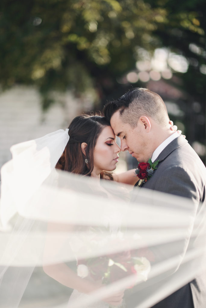 bride and groom, wedding veil shot